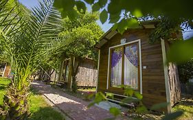 Likya Evleri Olympos